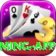 1Win Casino Pakistan Max Gaming App